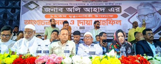 image-here